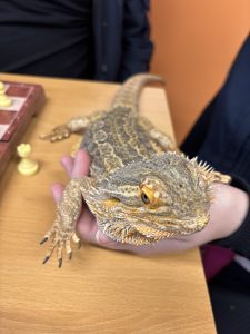 Fury Friends visit Seacole Park.